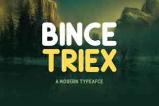 Bince Triex: A Polished Display Font for Small Business Branding