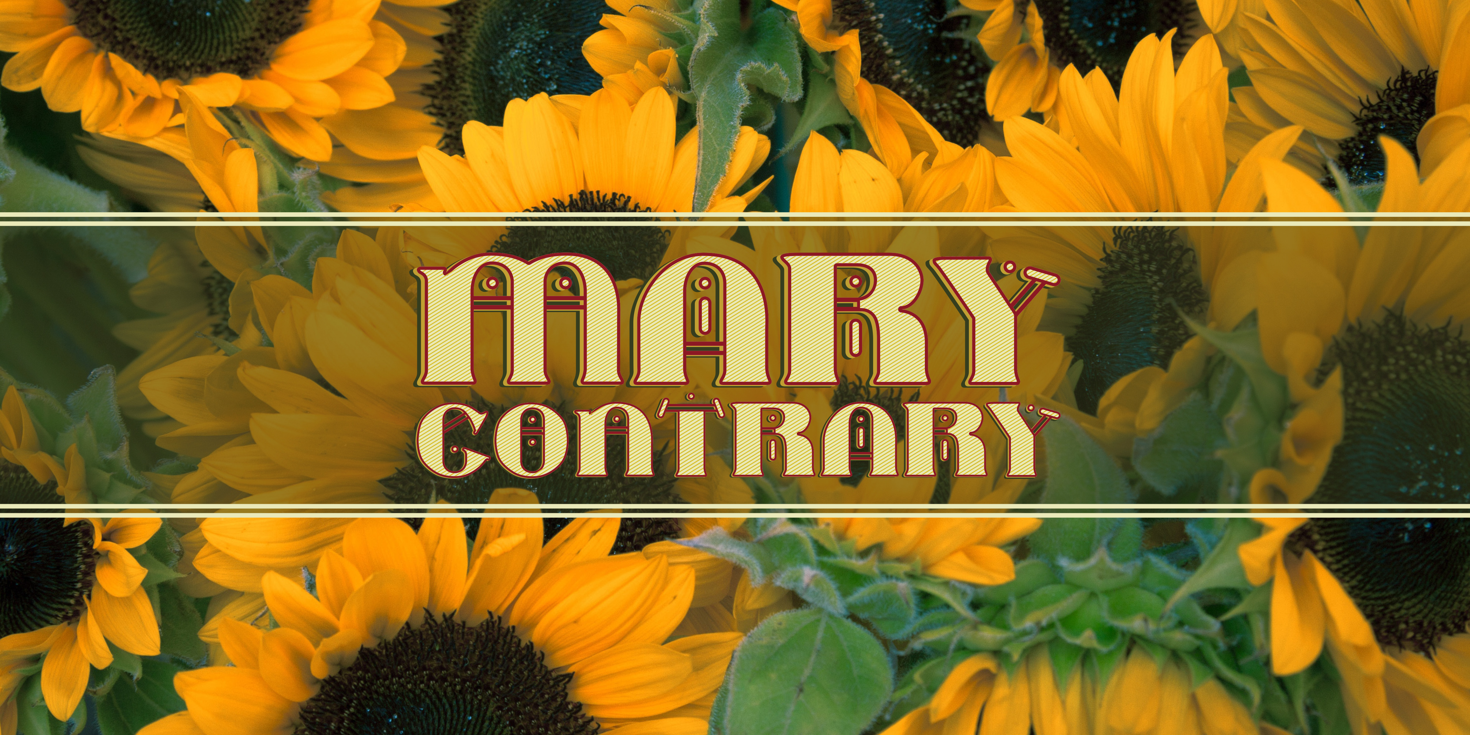 Mary Contrary: A Decorative Display Font for Editorial Design